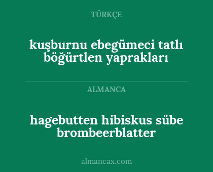 hagebutten hibiskus sübe brombeerblatter - kuşburnu ebegümeci tatlı böğürtlen yaprakları