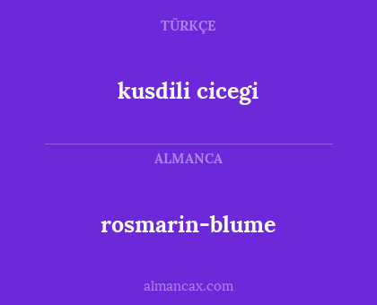 rosmarin-blume - kusdili cicegi