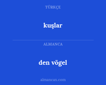 den vögel - kuşlar