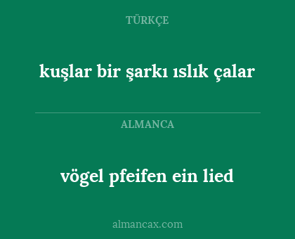 vögel pfeifen ein lied - kuşlar bir şarkı ıslık çalar