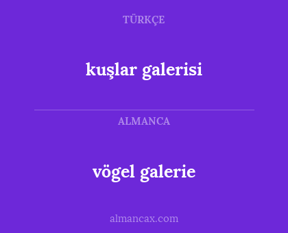 vögel galerie - kuşlar galerisi