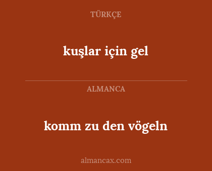 kuşlar için gel - komm zu den vögeln
