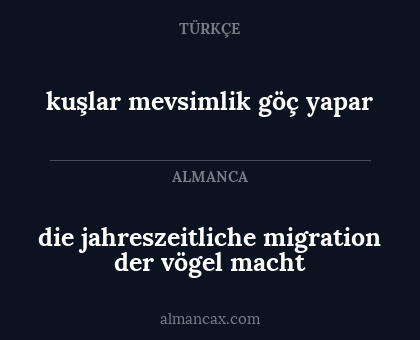 die jahreszeitliche migration der vögel macht - kuşlar mevsimlik göç yapar