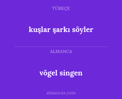 kuşlar şarkı söyler - vögel singen
