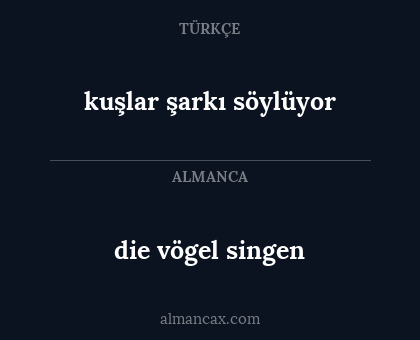 kuşlar şarkı söylüyor - die vögel singen