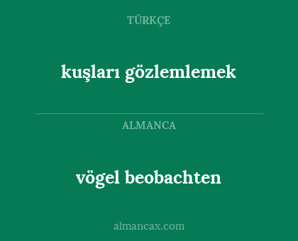 kuşları gözlemlemek - vögel beobachten