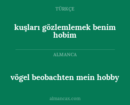 kuşları gözlemlemek benim hobim - vögel beobachten mein hobby