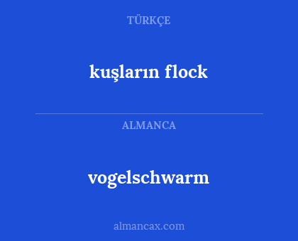 vogelschwarm - kuşların flock