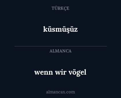 wenn wir vögel - küsmüşüz