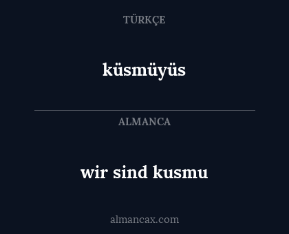 küsmüyüs - wir sind kusmu
