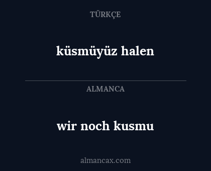 wir noch kusmu - küsmüyüz halen
