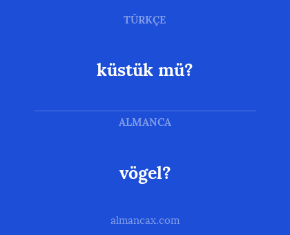 vögel? - küstük mü?