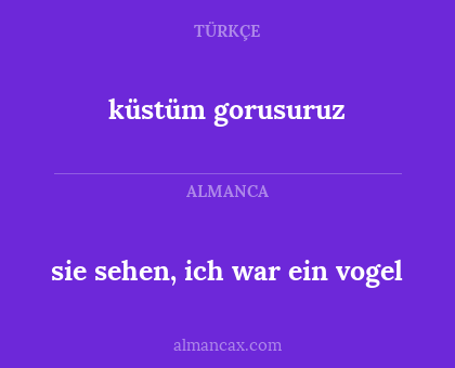 küstüm gorusuruz - sie sehen, ich war ein vogel