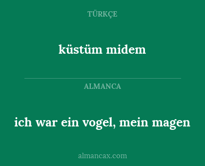 küstüm midem - ich war ein vogel, mein magen