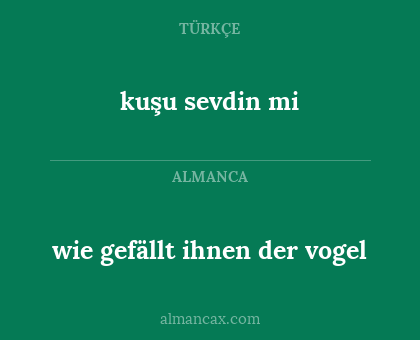 kuşu sevdin mi - wie gefällt ihnen der vogel