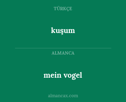 mein vogel - kuşum