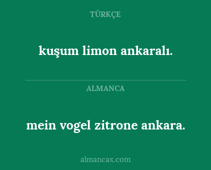 mein vogel zitrone ankara. - kuşum limon ankaralı.