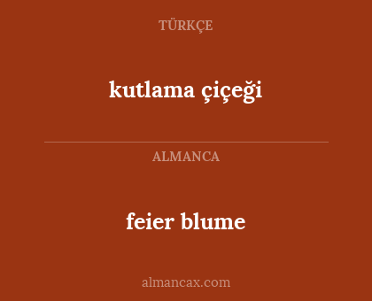 feier blume - kutlama çiçeği