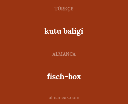 kutu baligi - fisch-box