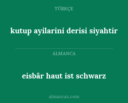 eisbär haut ist schwarz - kutup ayilarini derisi siyahtir