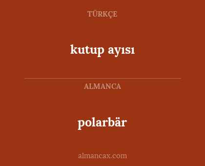 polarbär - kutup ayısı