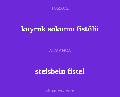 kuyruk sokumu fistülü - steisbein fistel