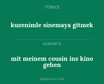 kuzenimle sinemaya gitmek - mit meinem cousin ins kino gehen
