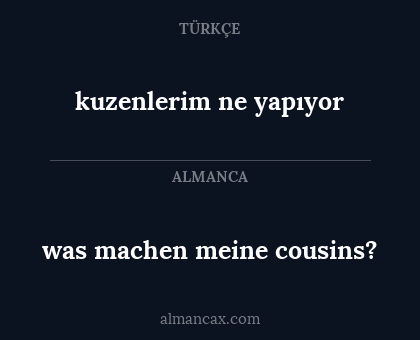 was machen meine cousins? - kuzenlerim ne yapıyor