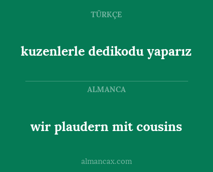 wir plaudern mit cousins - kuzenlerle dedikodu yaparız