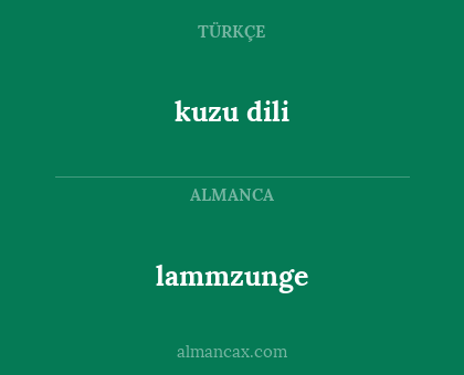 lammzunge - kuzu dili