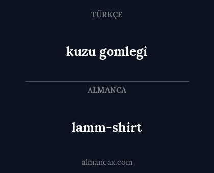 lamm-shirt - kuzu gomlegi