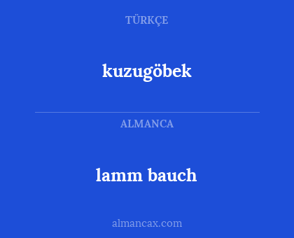 kuzugöbek - lamm bauch
