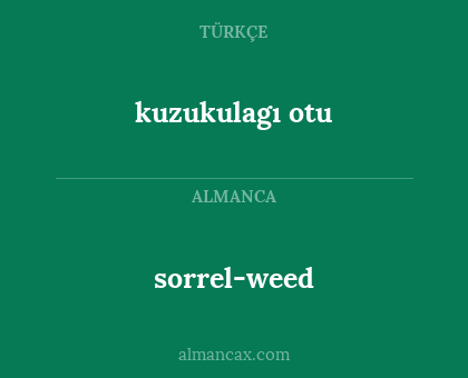 kuzukulagı otu - sorrel-weed