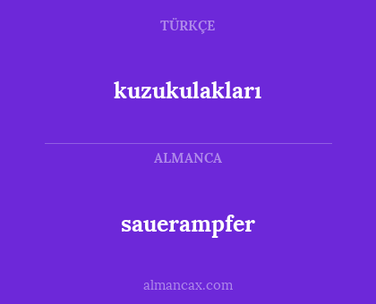 sauerampfer - kuzukulakları