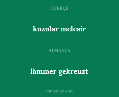 lämmer gekreuzt - kuzular melesir