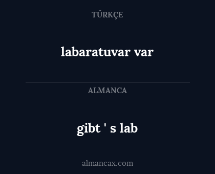 gibt ' s lab - labaratuvar var