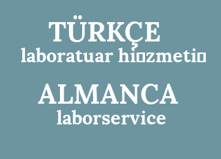 laboratuar+hi%CC%87zmeti%CC%87-laborservice.png