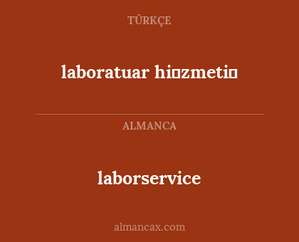 laborservice - laboratuar hi̇zmeti̇
