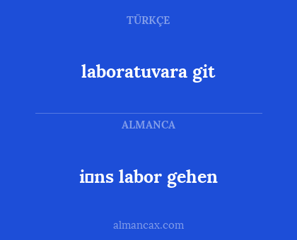 laboratuvara git - i̇ns labor gehen