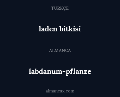 laden bitkisi - labdanum-pflanze