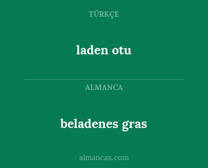 beladenes gras - laden otu