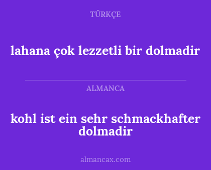kohl ist ein sehr schmackhafter dolmadir - lahana çok lezzetli bir dolmadir