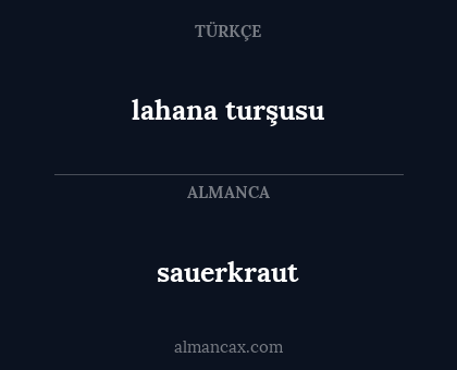 sauerkraut - lahana turşusu