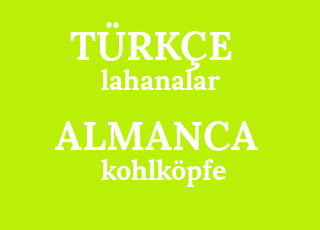 lahanalar-kohlk%C3%B6pfe.png