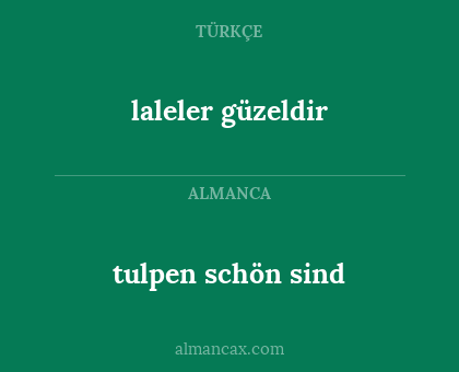 tulpen schön sind - laleler güzeldir