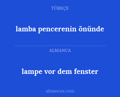 lampe vor dem fenster - lamba pencerenin önünde