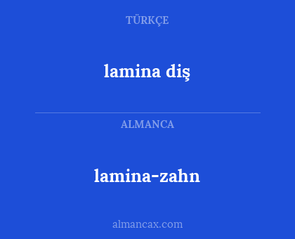 lamina-zahn - lamina diş