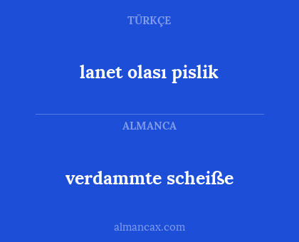 verdammte scheiße - lanet olası pislik