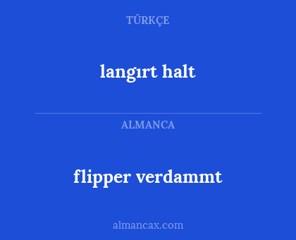 langırt halt - flipper verdammt