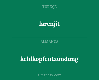 kehlkopfentzündung - larenjit